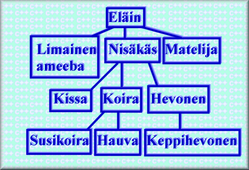 Eläinten perimähierarkia