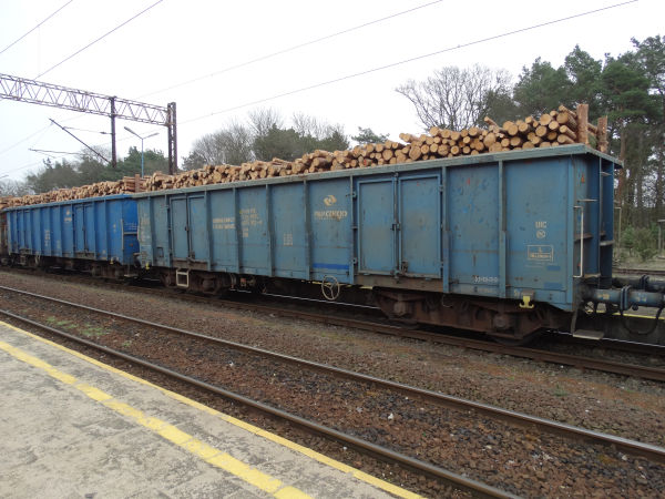 pl-pkpcargo-timber-jastrowie-050417-full.jpg